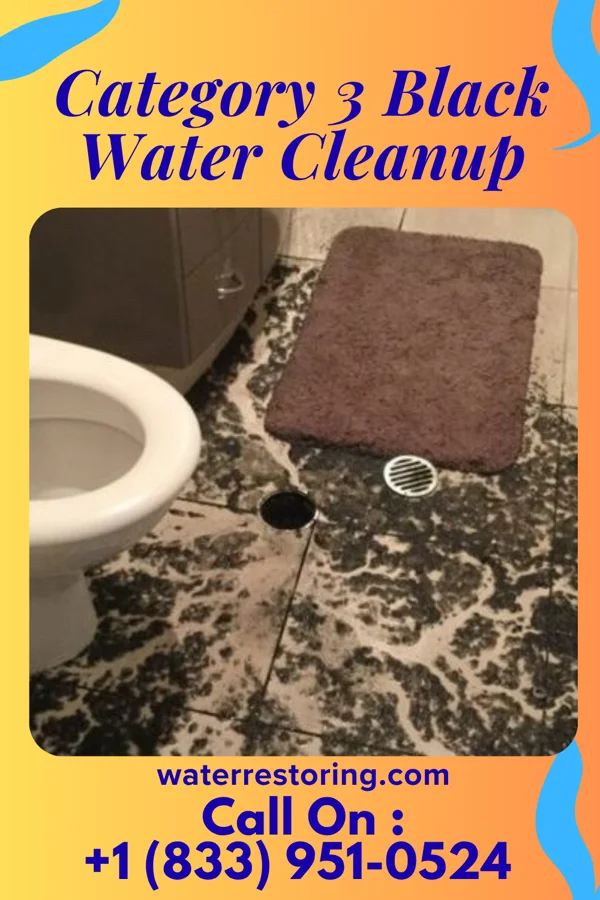Category 3 Black Water Cleanup in South Hill, WA